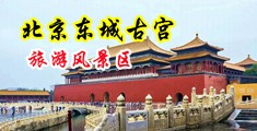 轮奸吃奶好爽视频中国北京-东城古宫旅游风景区